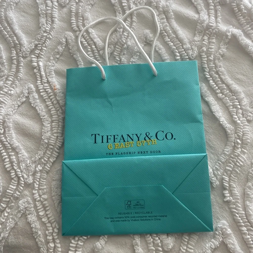 Tiffany & Co , 6 East 57th , the flagship next door gift bag - Picture 2 of 2
